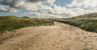 Duinen
