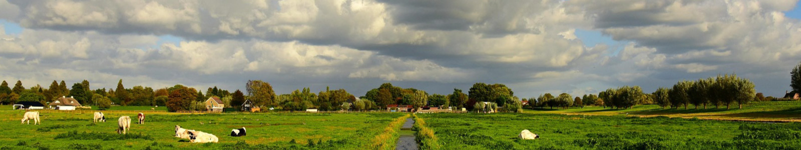 Ontdek het groene hart