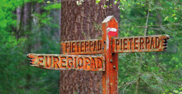 Foto met routeinformatie in het bos